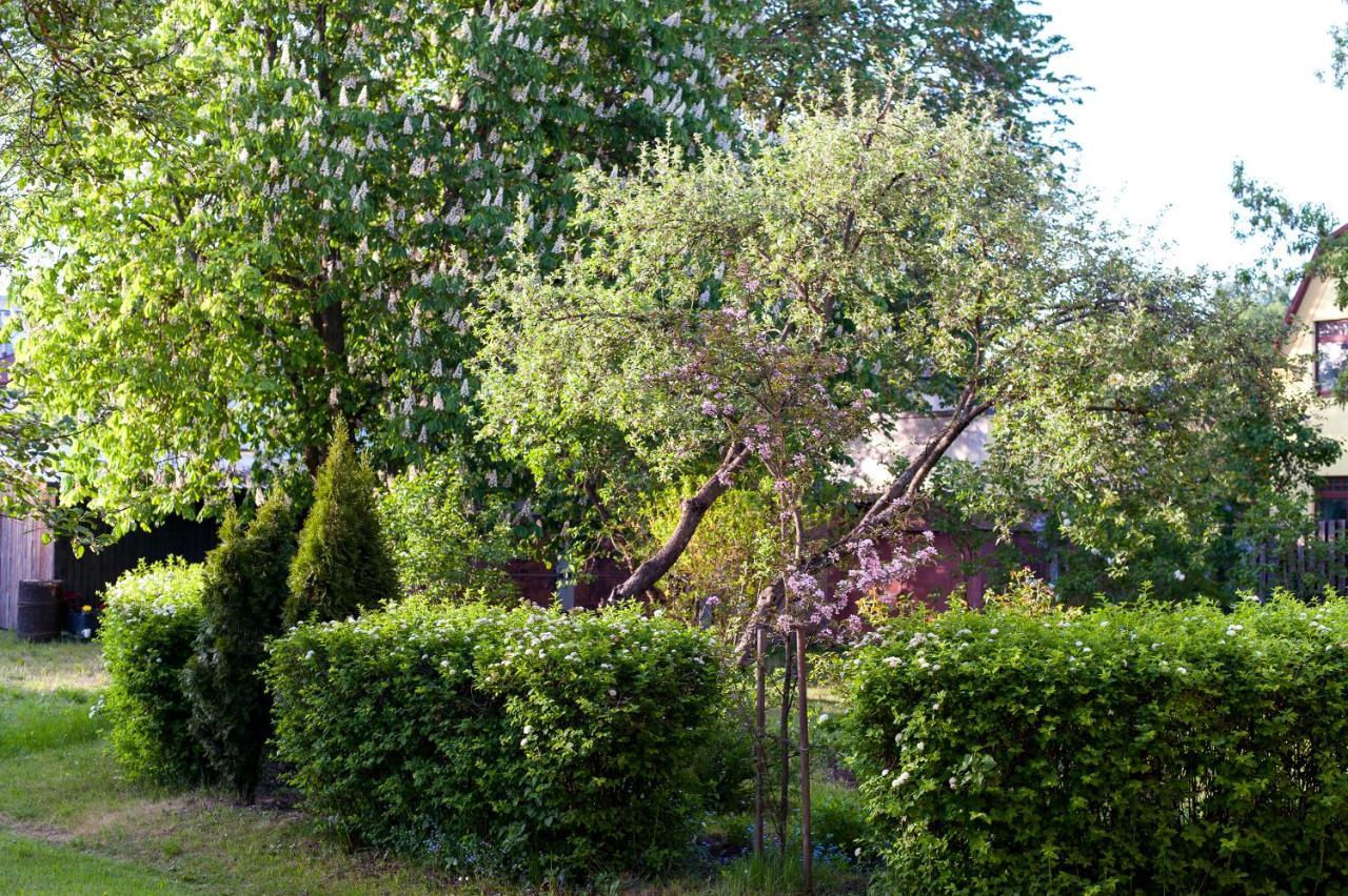 Teika No 1 In A Quiet Area, Self Check-in Appartement Riga