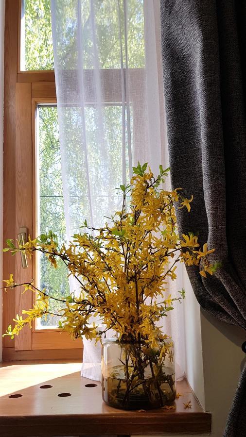 Appartement Teika No 1 In A Quiet Area, Self Check-in Riga